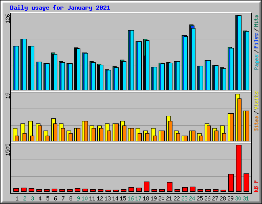 Daily usage for January 2021