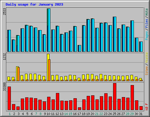 Daily usage for January 2023