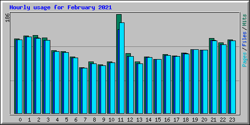 Hourly usage for February 2021