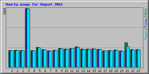 Hourly usage for August 2021