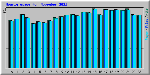 Hourly usage for November 2021