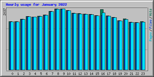 Hourly usage for January 2022