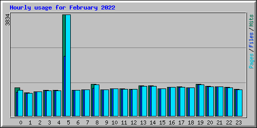 Hourly usage for February 2022