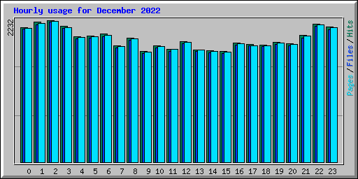 Hourly usage for December 2022