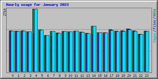 Hourly usage for January 2023