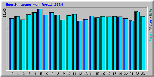 Hourly usage for April 2024